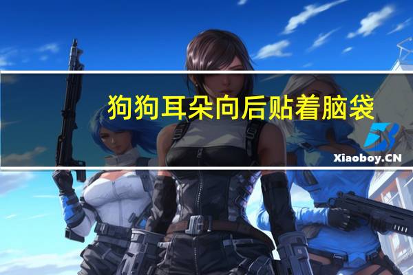 狗狗耳朵向后贴着脑袋