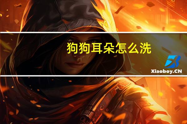 狗狗耳朵怎么洗