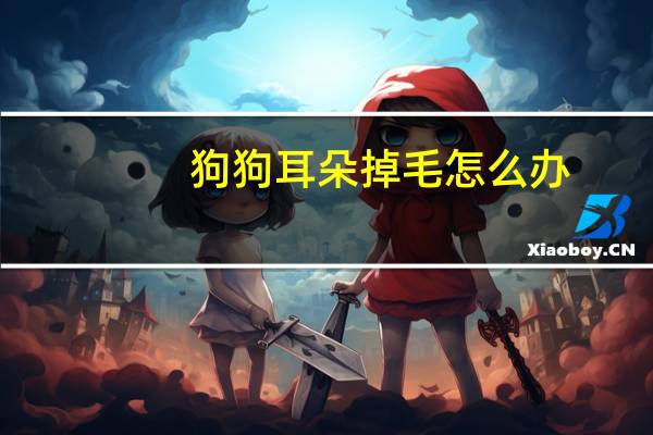 狗狗耳朵掉毛怎么办