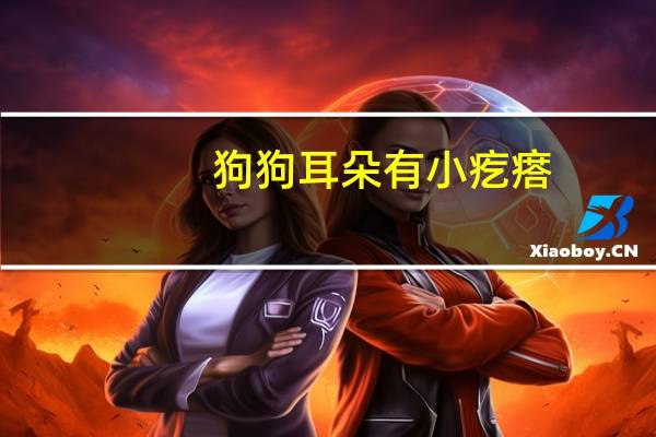 狗狗耳朵有小疙瘩