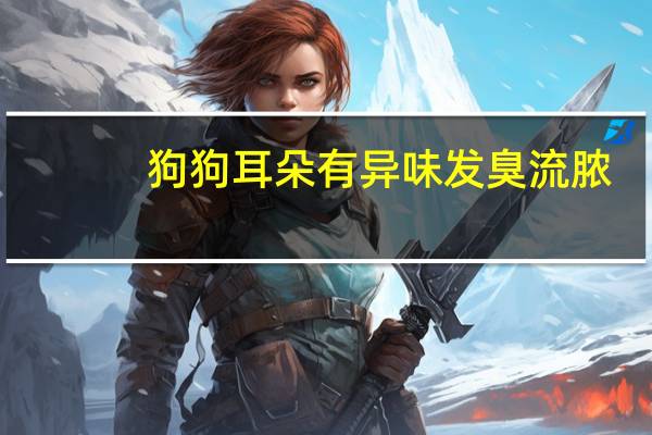 狗狗耳朵有异味发臭流脓