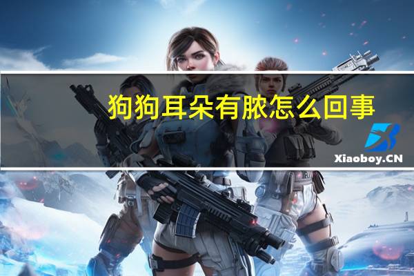 狗狗耳朵有脓怎么回事
