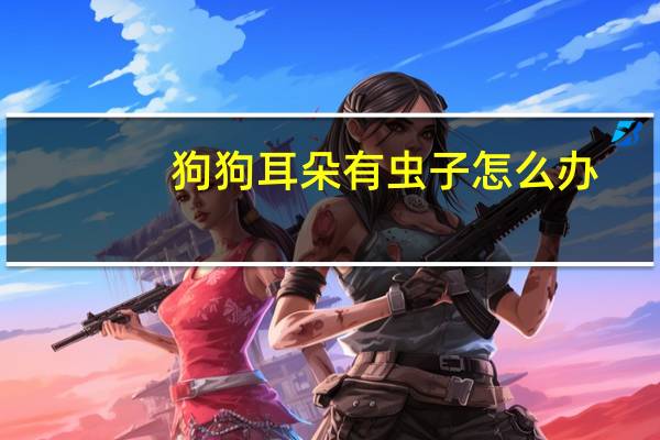 狗狗耳朵有虫子怎么办