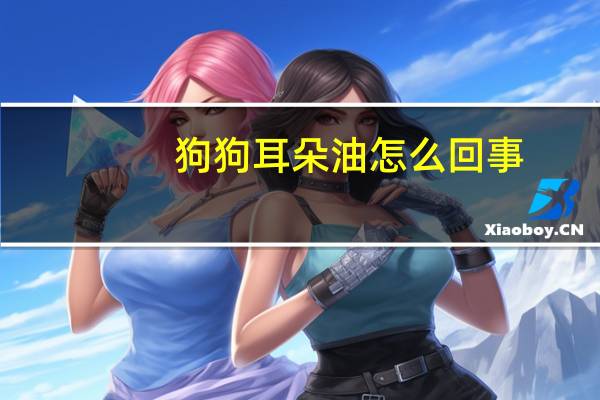 狗狗耳朵油怎么回事