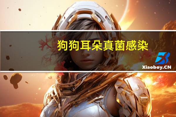 狗狗耳朵真菌感染