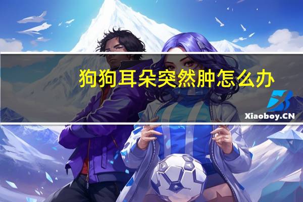 狗狗耳朵突然肿怎么办