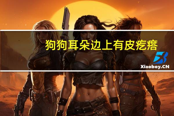 狗狗耳朵边上有皮疙瘩