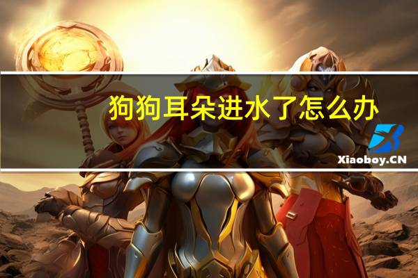 狗狗耳朵进水了怎么办