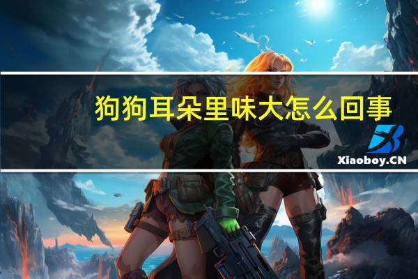 狗狗耳朵里味大怎么回事