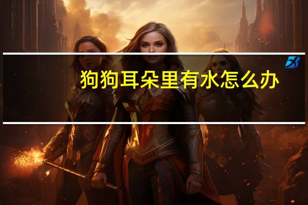 狗狗耳朵里有水怎么办