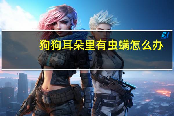 狗狗耳朵里有虫螨怎么办