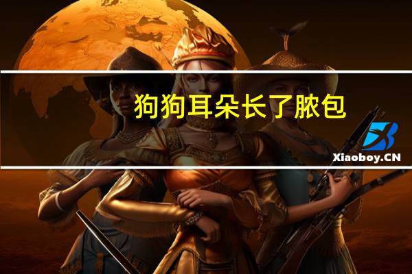 狗狗耳朵长了脓包