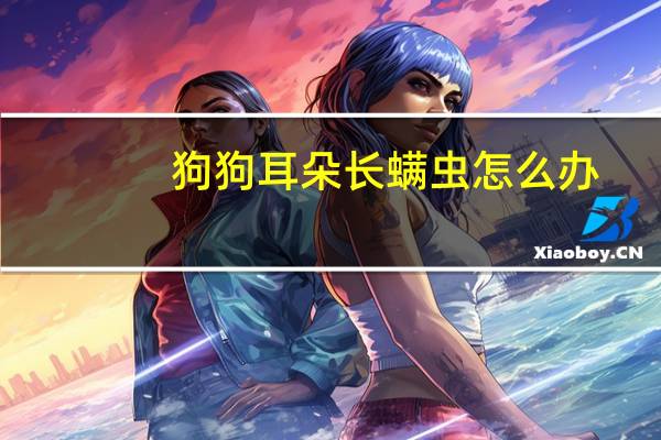 狗狗耳朵长螨虫怎么办