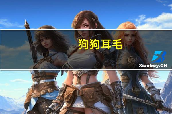狗狗耳毛