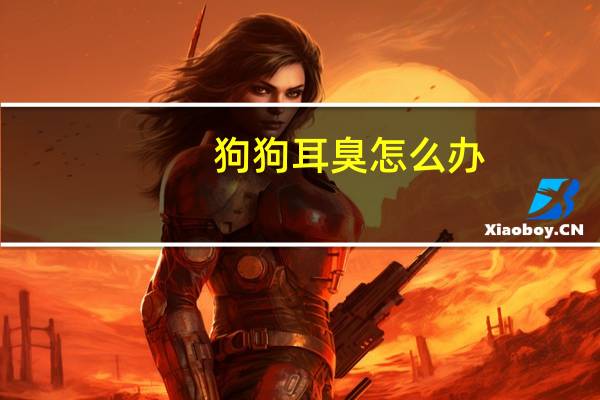 狗狗耳臭怎么办