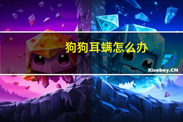狗狗耳螨怎么办