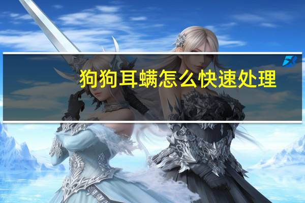 狗狗耳螨怎么快速处理