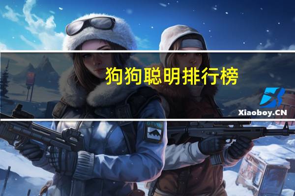 狗狗聪明排行榜