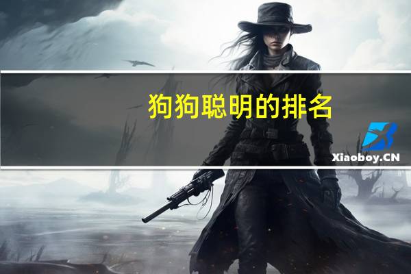 狗狗聪明的排名