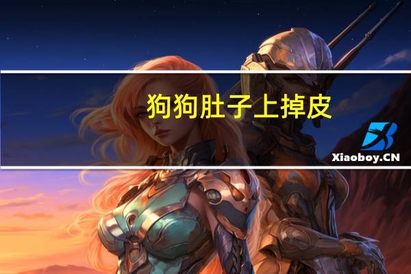 狗狗肚子上掉皮