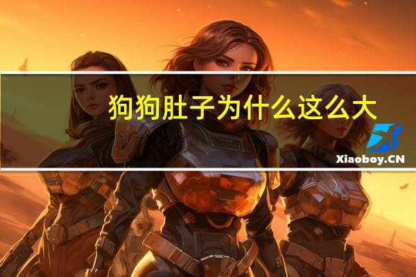 狗狗肚子为什么这么大