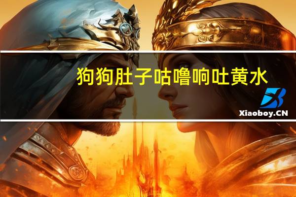 狗狗肚子咕噜响吐黄水
