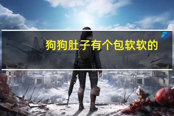 狗狗肚子有个包软软的
