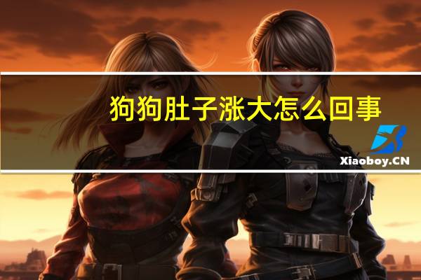 狗狗肚子涨大怎么回事