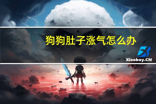 狗狗肚子涨气怎么办
