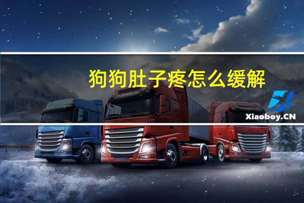 狗狗肚子疼怎么缓解
