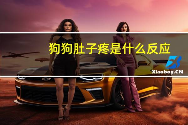 狗狗肚子疼是什么反应