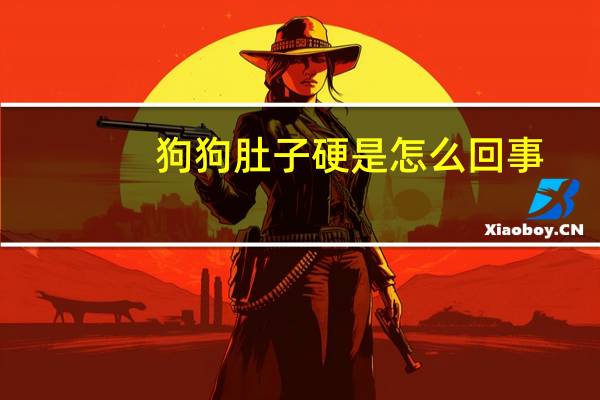 狗狗肚子硬是怎么回事