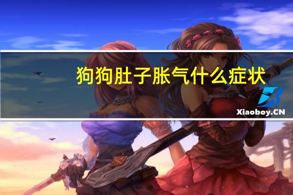 狗狗肚子胀气什么症状