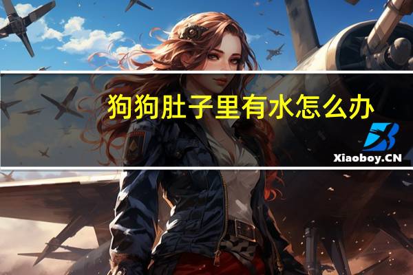 狗狗肚子里有水怎么办