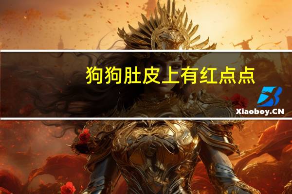 狗狗肚皮上有红点点