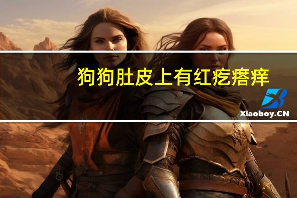 狗狗肚皮上有红疙瘩痒