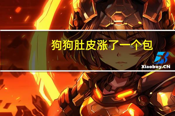 狗狗肚皮涨了一个包