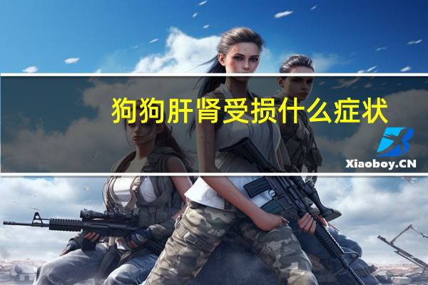 狗狗肝肾受损什么症状