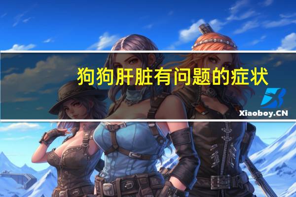 狗狗肝脏有问题的症状