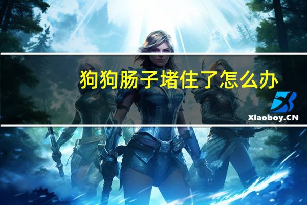 狗狗肠子堵住了怎么办