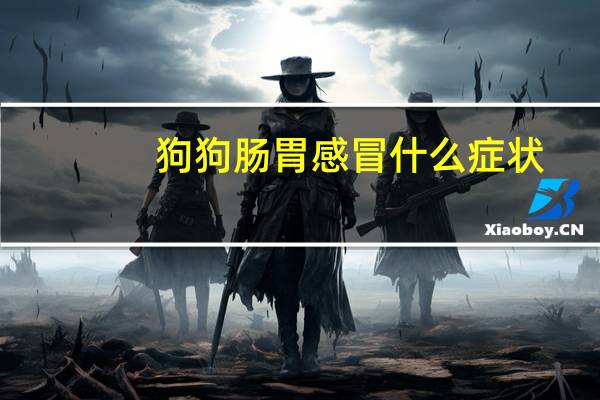 狗狗肠胃感冒什么症状