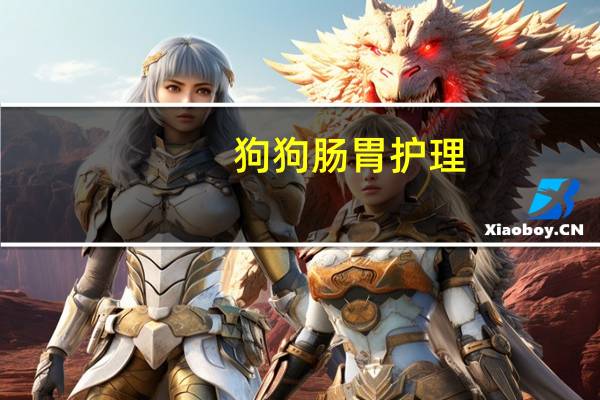 狗狗肠胃护理