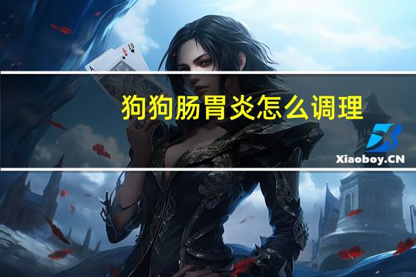 狗狗肠胃炎怎么调理