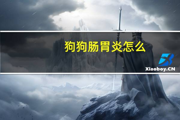 狗狗肠胃炎怎么