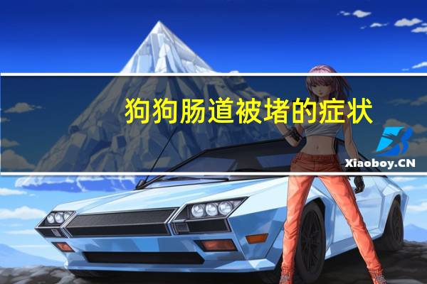 狗狗肠道被堵的症状