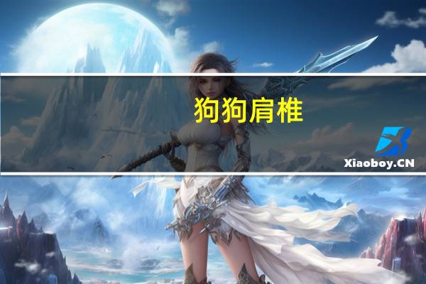 狗狗肩椎