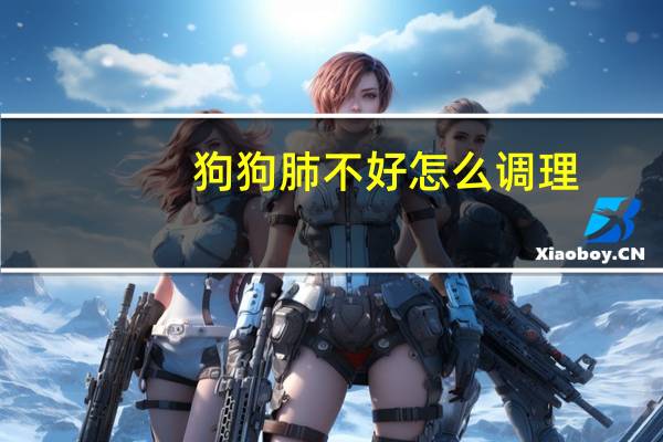 狗狗肺不好怎么调理