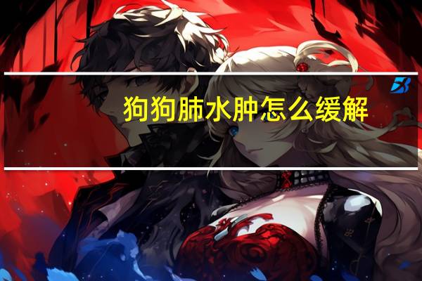 狗狗肺水肿怎么缓解