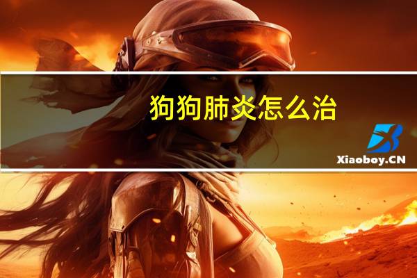 狗狗肺炎怎么治