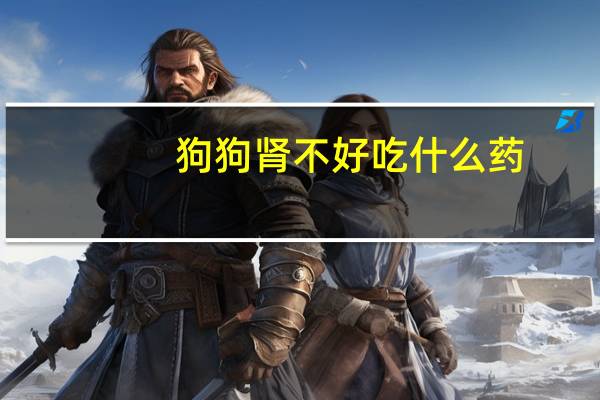 狗狗肾不好吃什么药